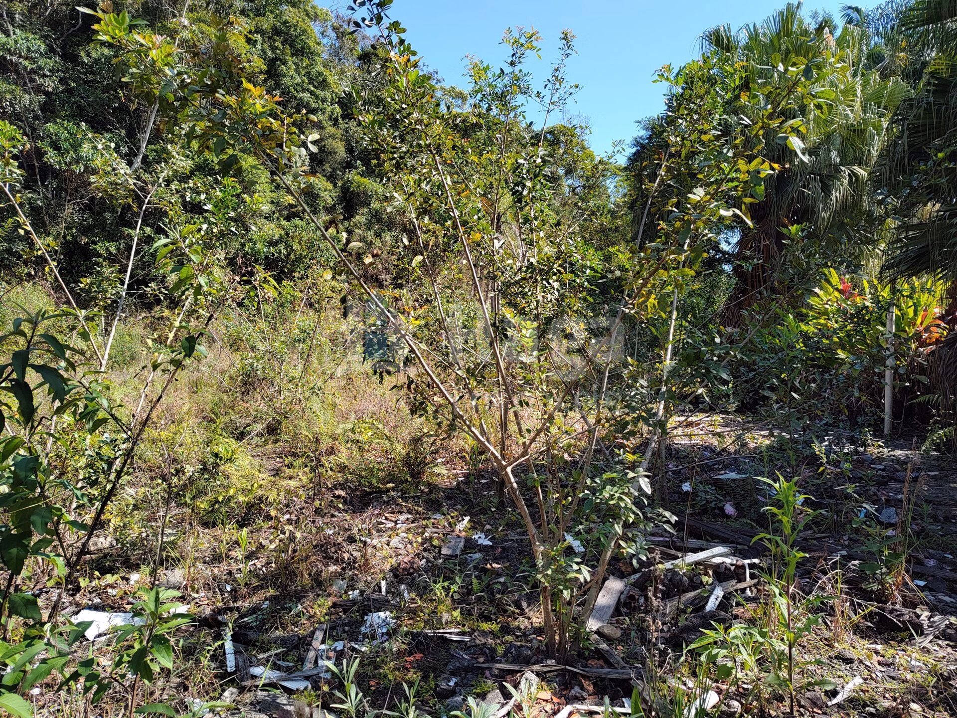 Terreno de 1 ha em Brusque, SC