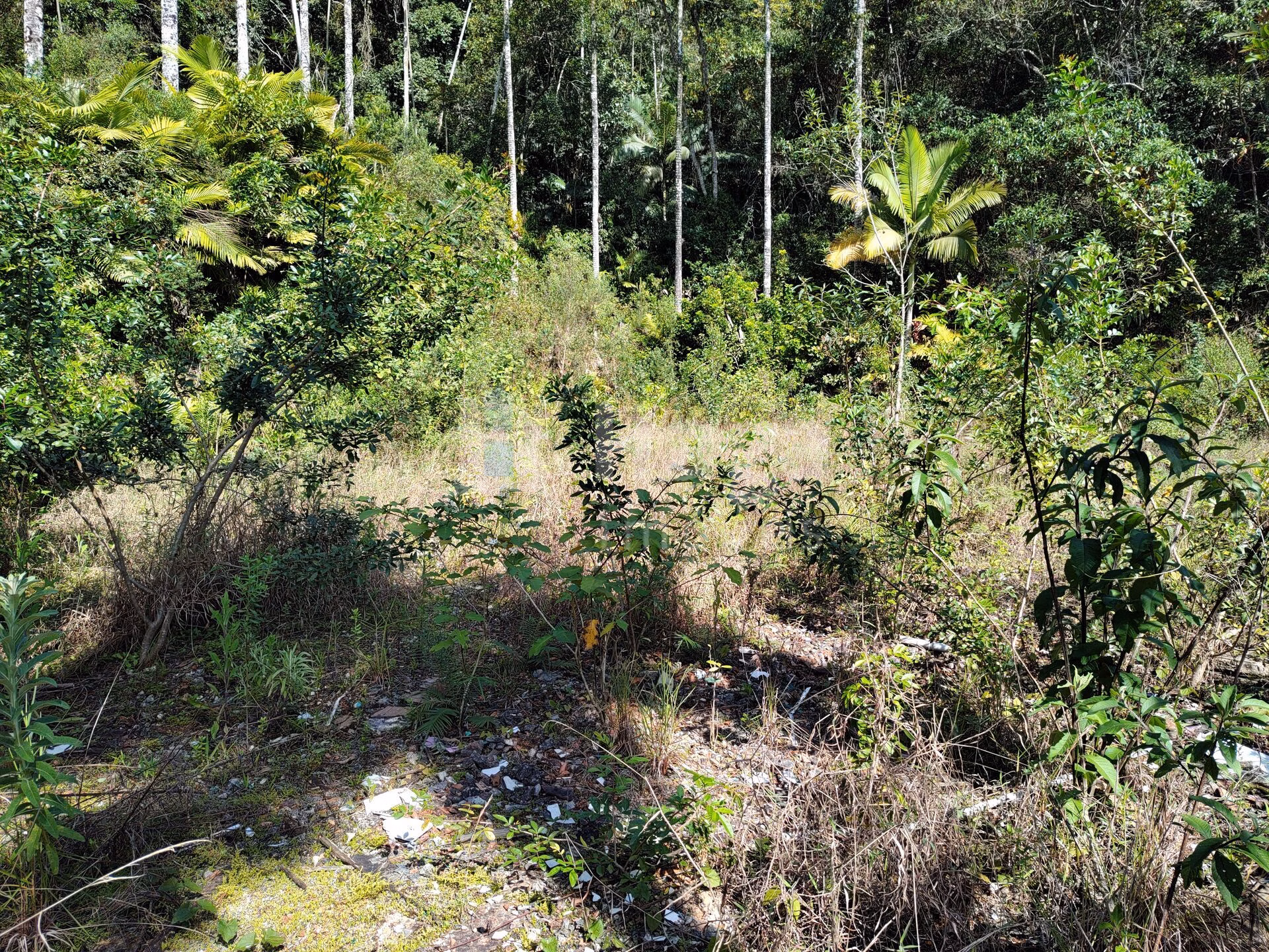 Terreno de 1 ha em Brusque, SC