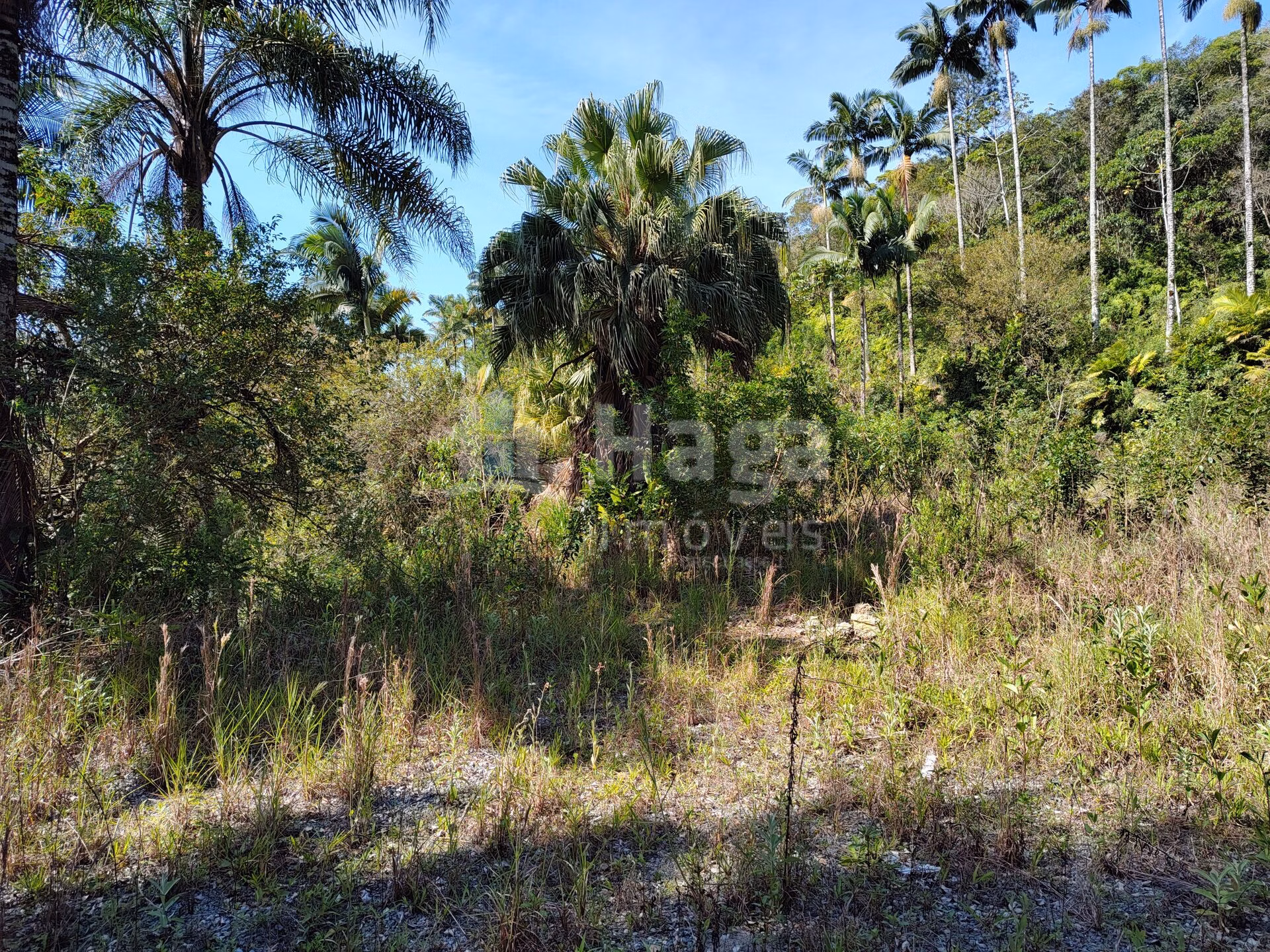 Terreno de 1 ha em Brusque, SC
