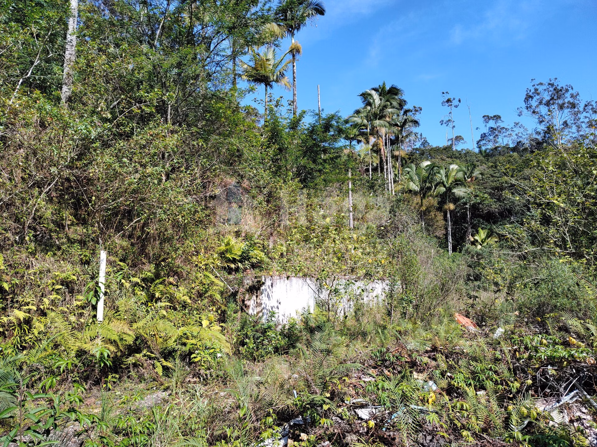 Terreno de 1 ha em Brusque, SC