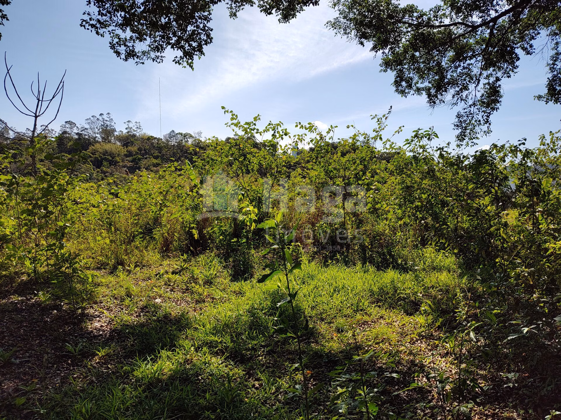 Terreno de 1 ha em Brusque, SC