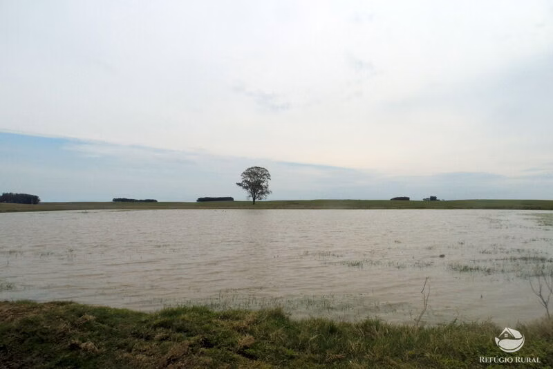 Fazenda de 6.000 ha em Jaguarão, RS