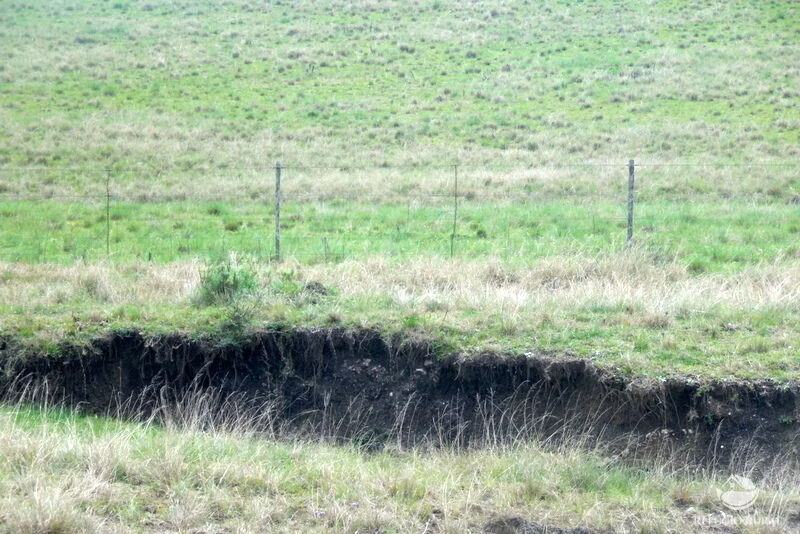 Fazenda de 6.000 ha em Jaguarão, RS