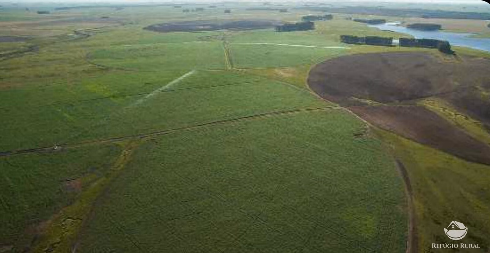 Fazenda de 6.000 ha em Jaguarão, RS