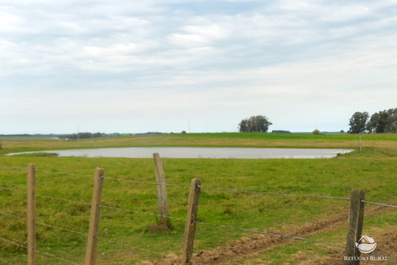Fazenda de 6.000 ha em Jaguarão, RS