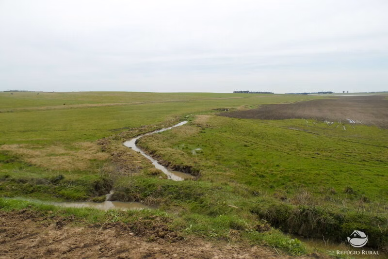 Fazenda de 6.000 ha em Jaguarão, RS