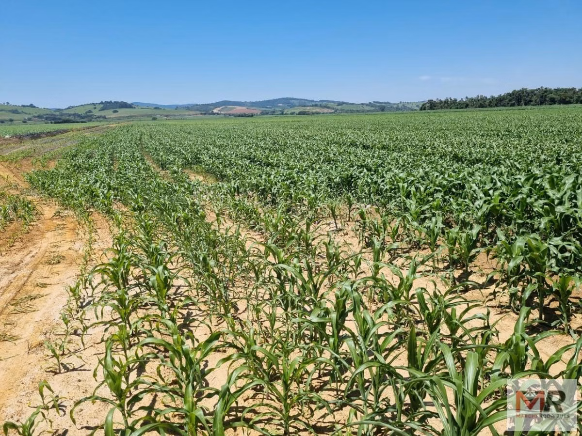 Farm of 331 acres in São Sebastião da Bela Vista, MG, Brazil