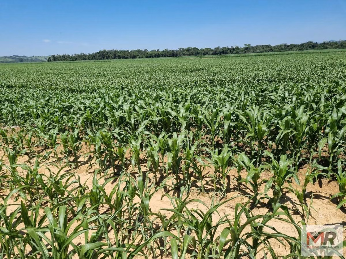 Farm of 331 acres in São Sebastião da Bela Vista, MG, Brazil