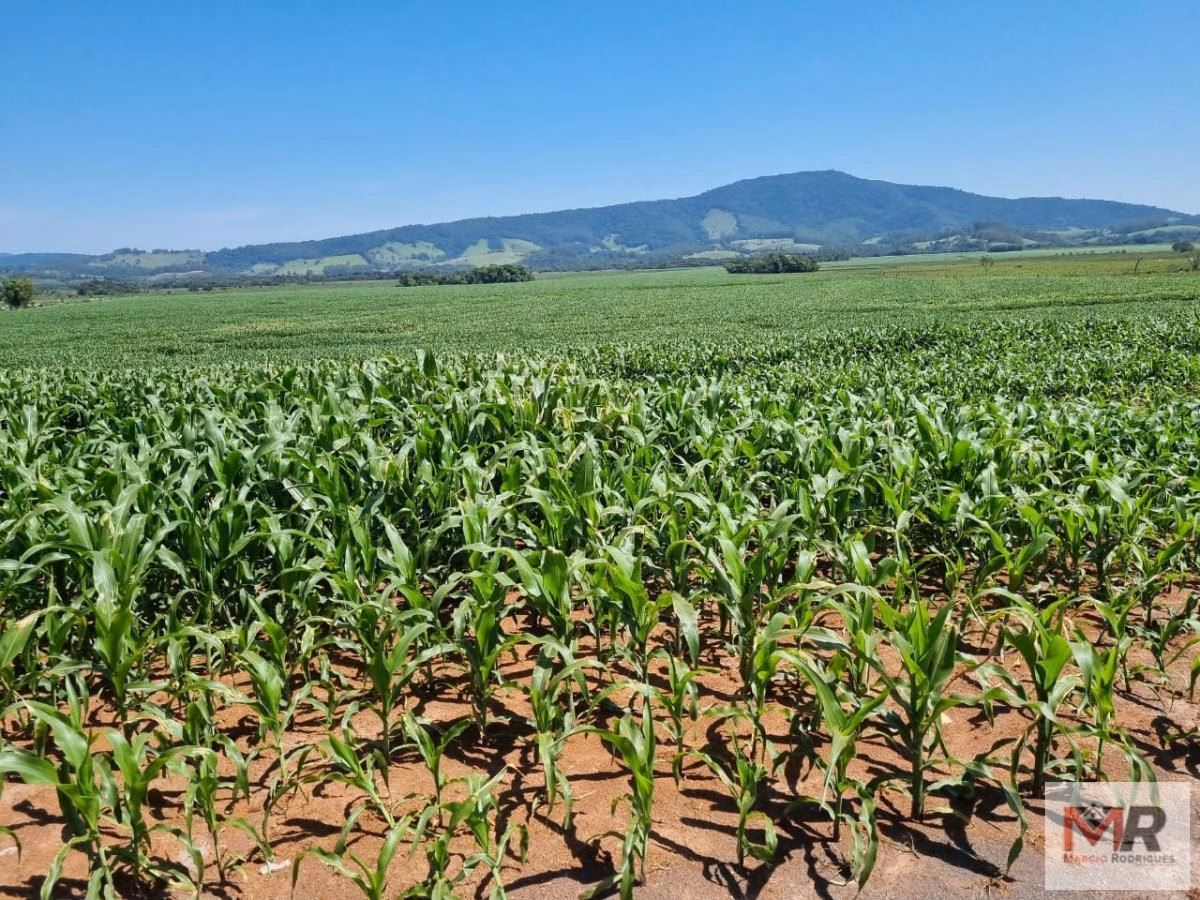 Farm of 331 acres in São Sebastião da Bela Vista, MG, Brazil