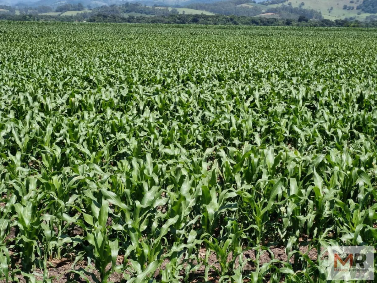 Farm of 331 acres in São Sebastião da Bela Vista, MG, Brazil