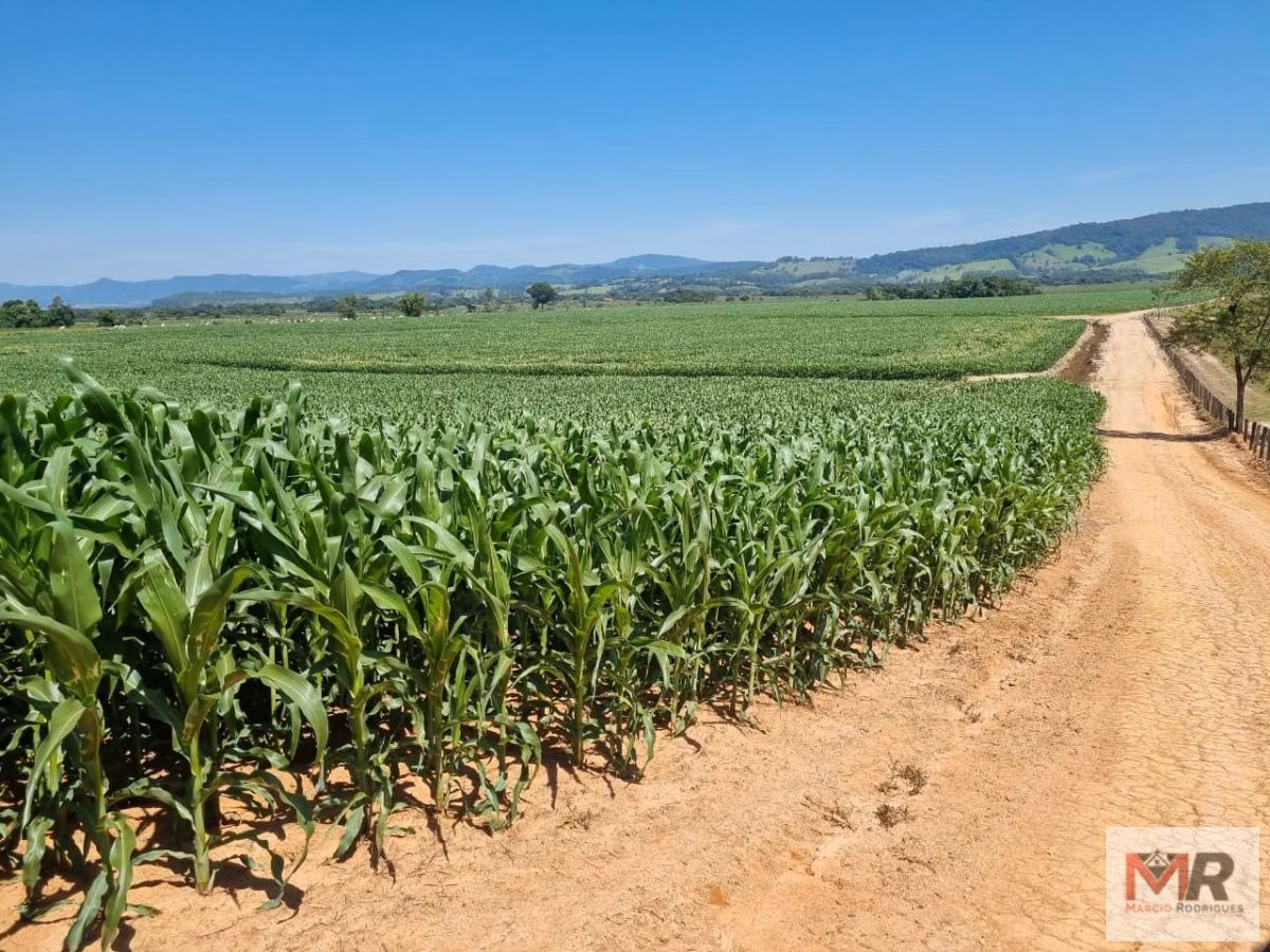 Farm of 331 acres in São Sebastião da Bela Vista, MG, Brazil