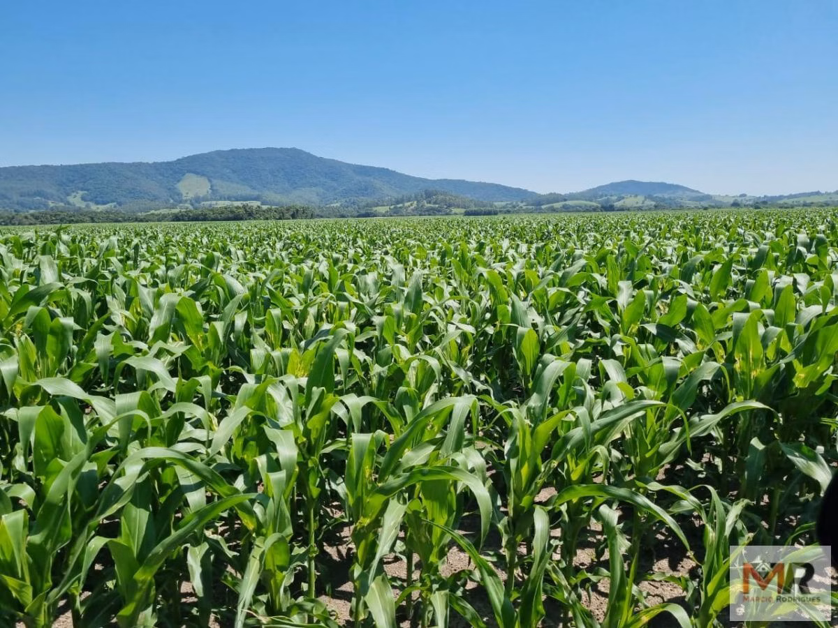 Farm of 331 acres in São Sebastião da Bela Vista, MG, Brazil