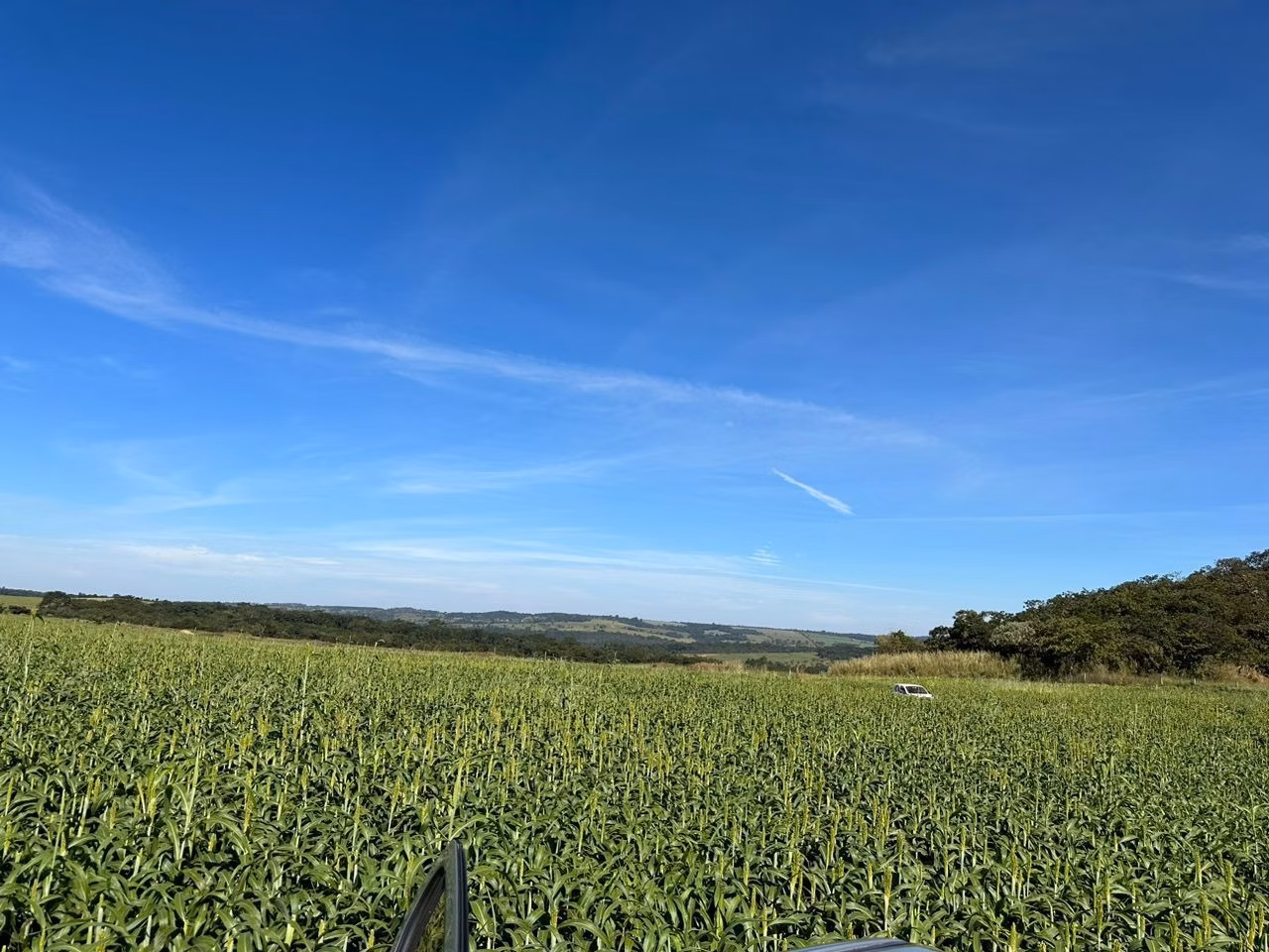 Farm of 275 acres in Anápolis, GO, Brazil
