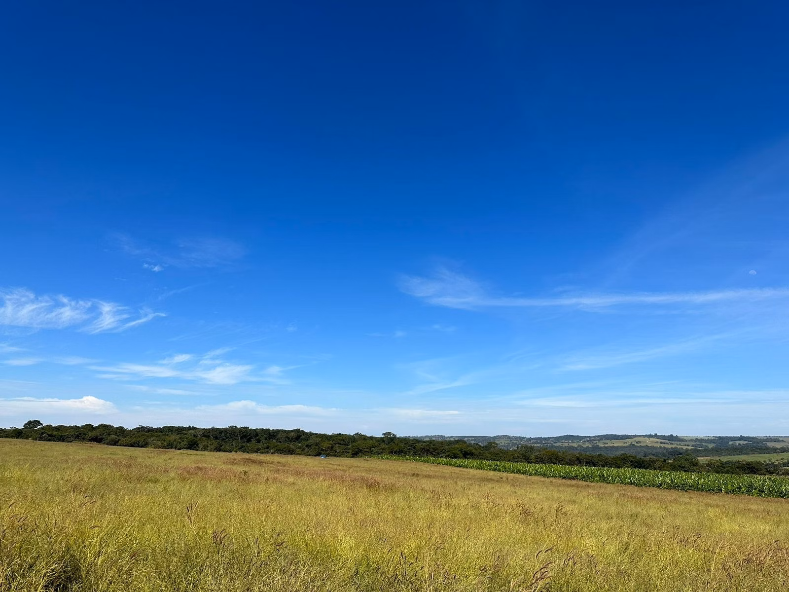 Farm of 275 acres in Anápolis, GO, Brazil