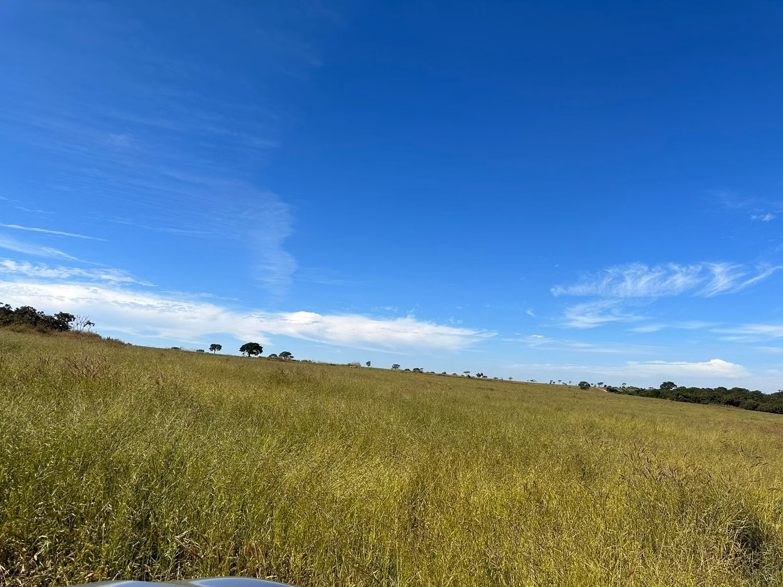Farm of 275 acres in Anápolis, GO, Brazil