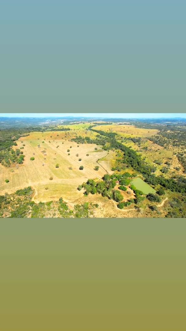 Farm of 275 acres in Anápolis, GO, Brazil