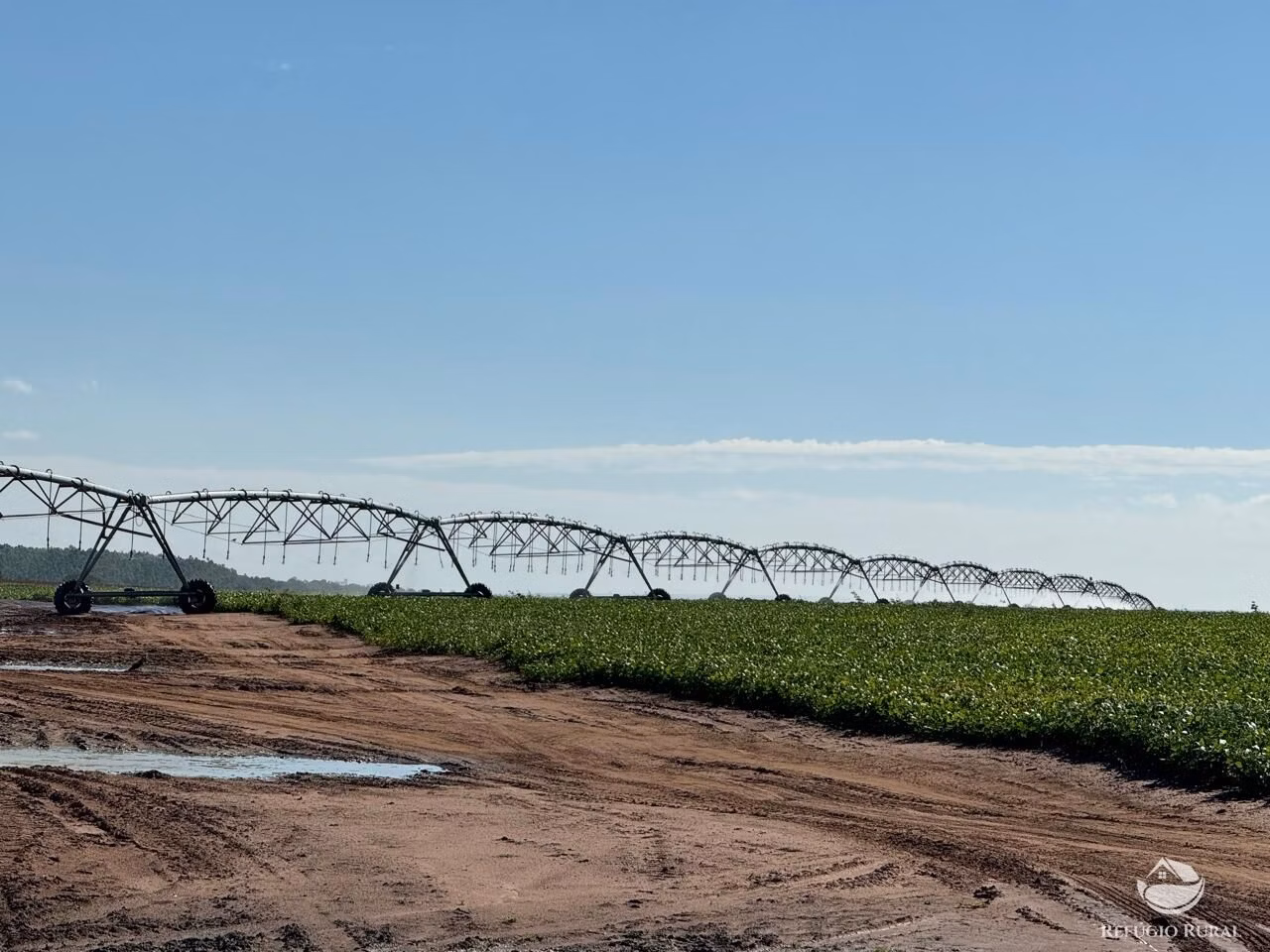Fazenda de 2.622 ha em João Pinheiro, MG