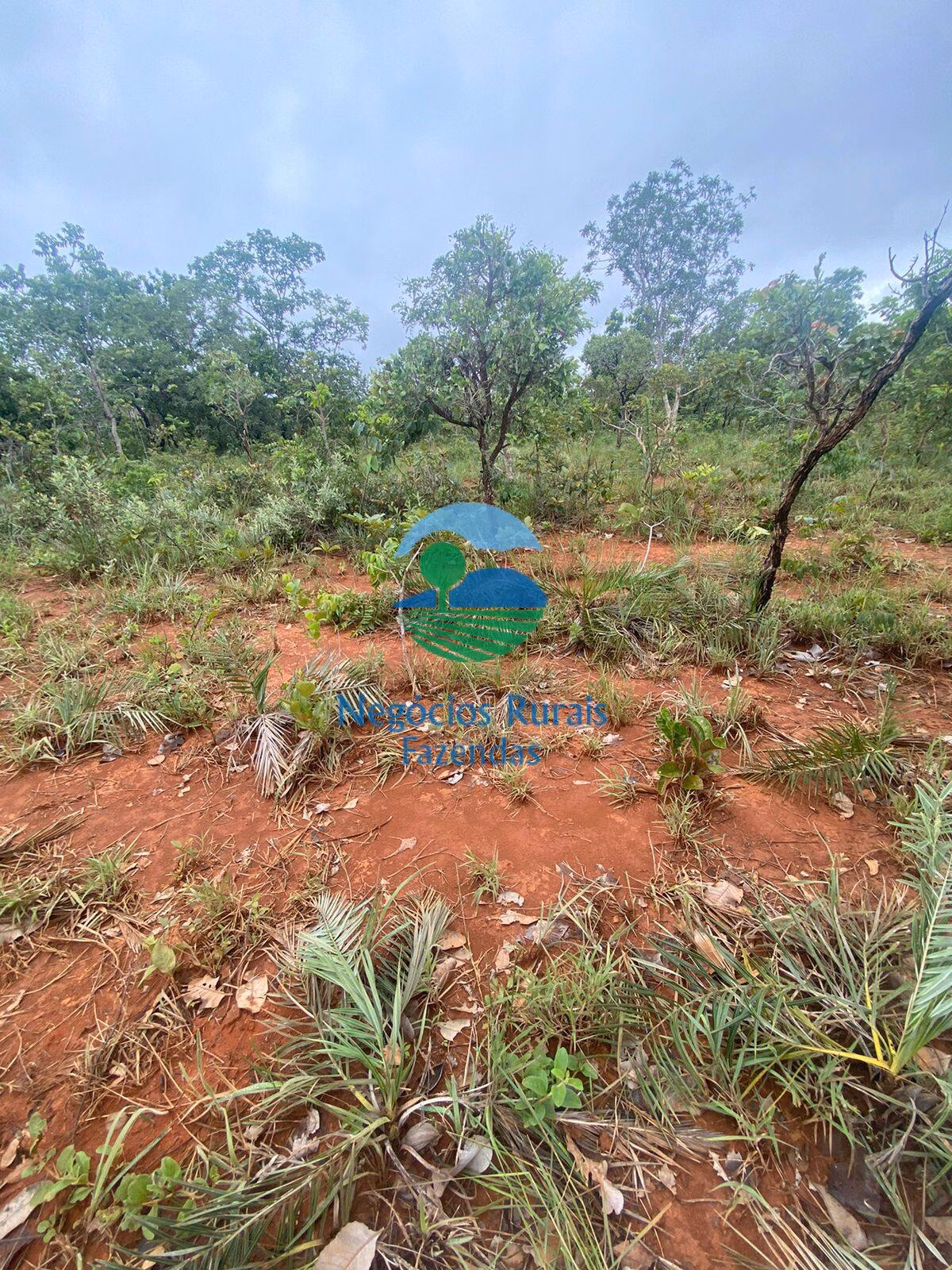 Fazenda de 290 ha em Formoso, GO