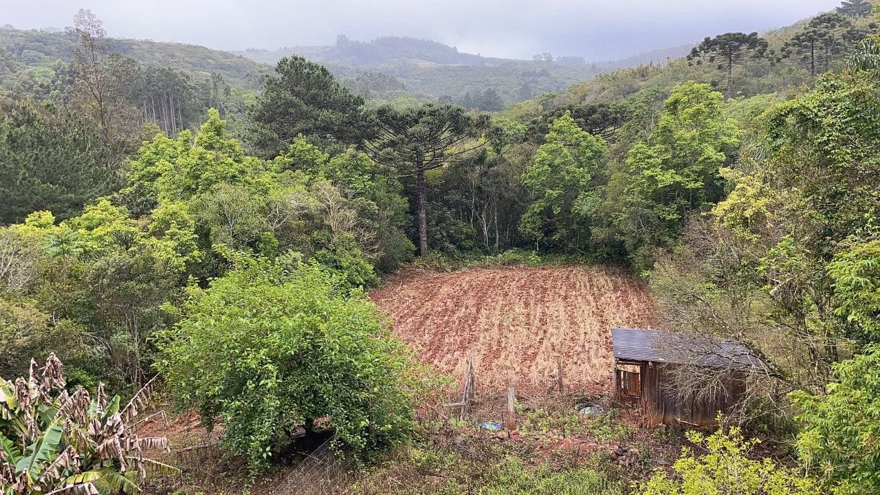 Chácara de 3 ha em Caraá, RS