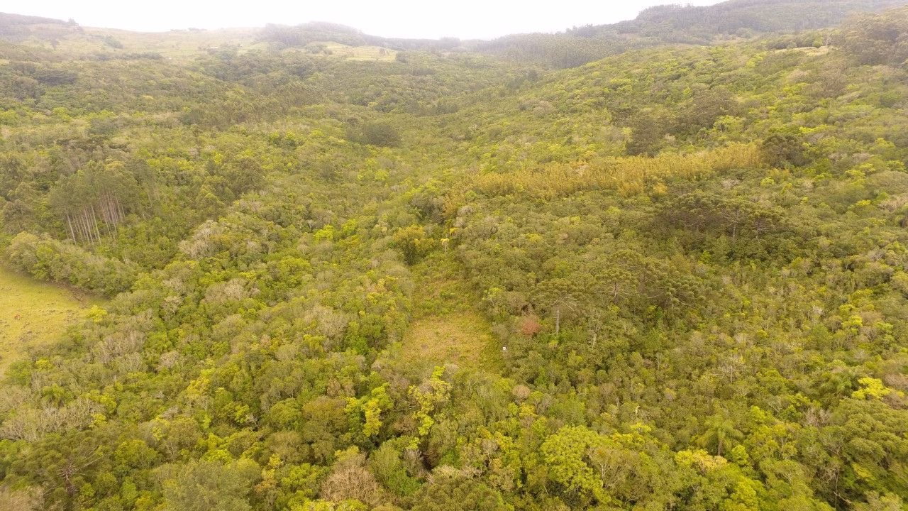 Country home of 7 acres in Caraá, RS, Brazil