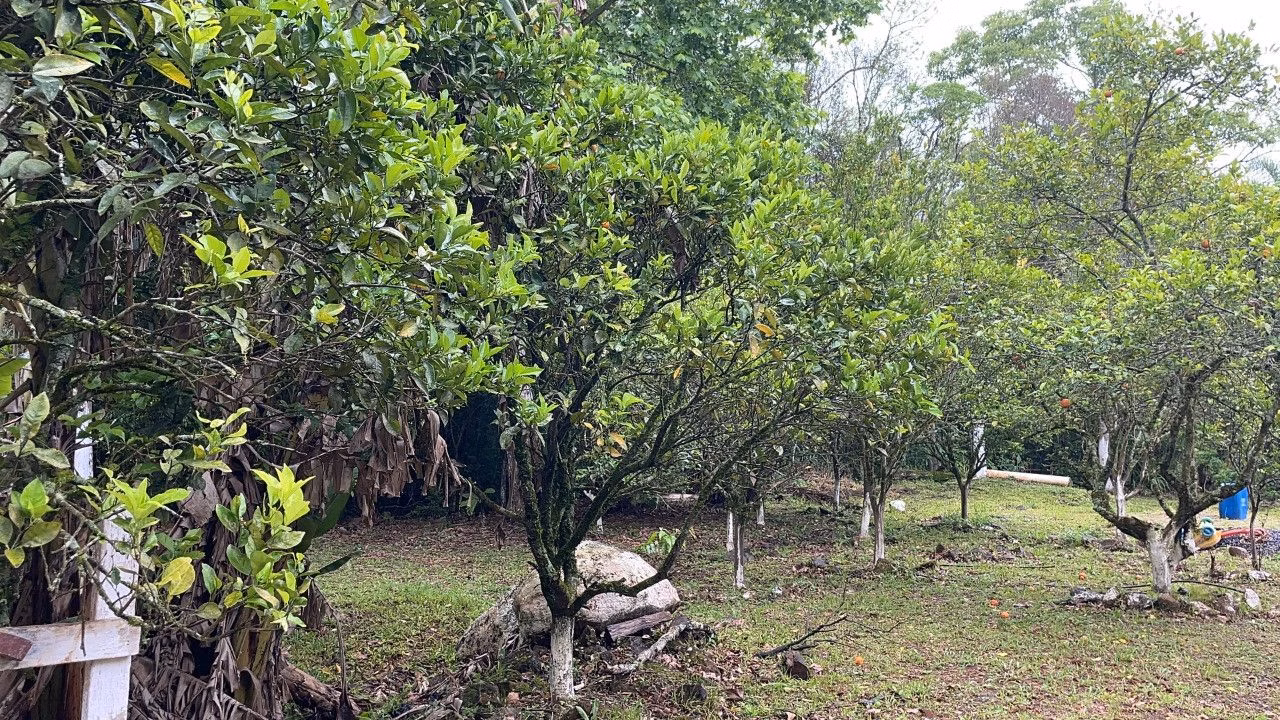 Country home of 7 acres in Caraá, RS, Brazil