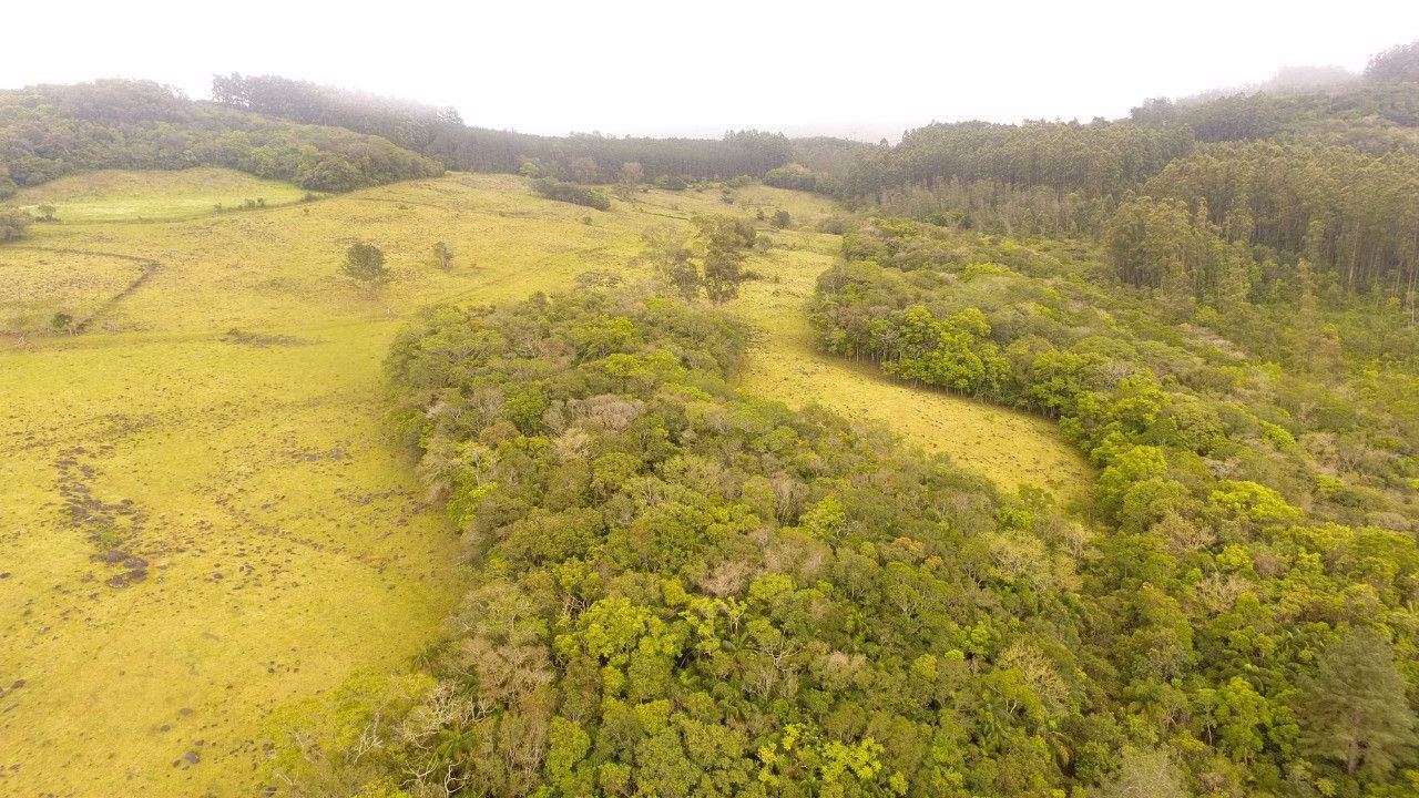 Country home of 7 acres in Caraá, RS, Brazil