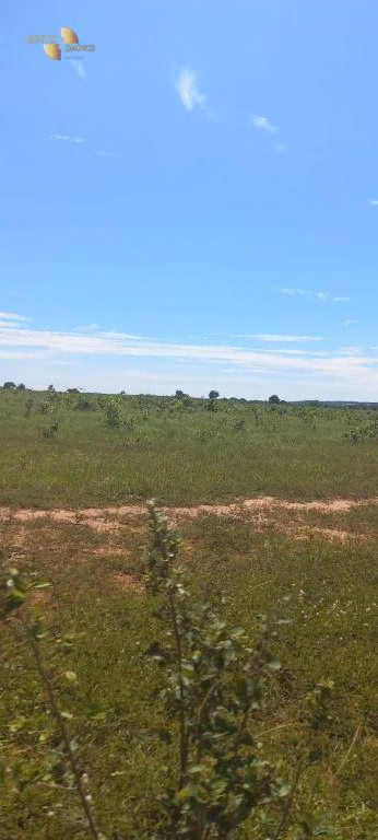 Fazenda de 2.266 ha em Jangada, MT