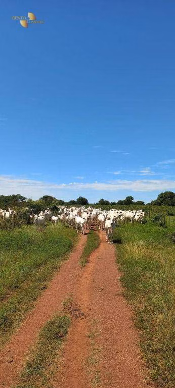 Fazenda de 2.266 ha em Jangada, MT