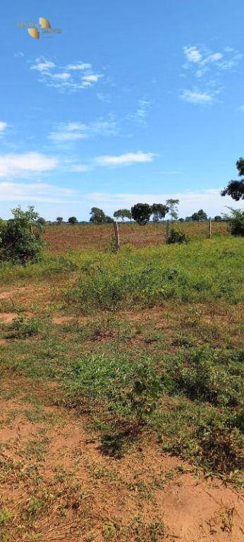 Fazenda de 2.266 ha em Jangada, MT