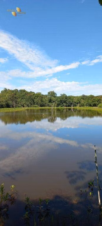 Fazenda de 2.266 ha em Jangada, MT