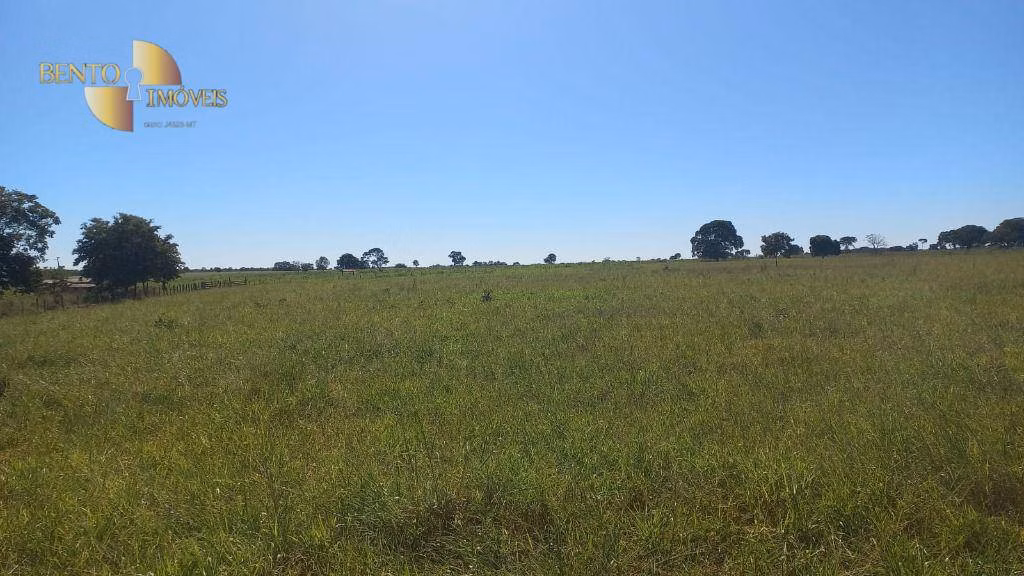 Fazenda de 2.266 ha em Jangada, MT