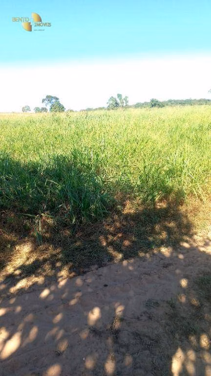 Fazenda de 2.266 ha em Jangada, MT
