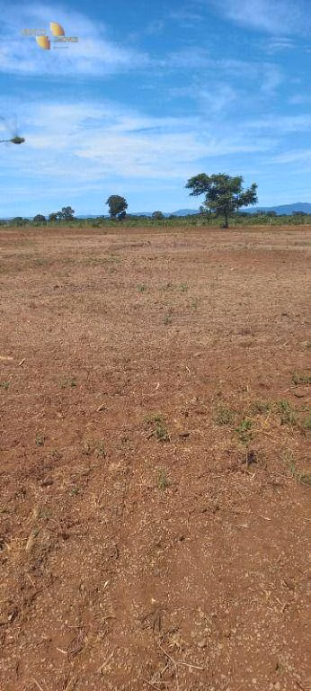 Fazenda de 2.266 ha em Jangada, MT