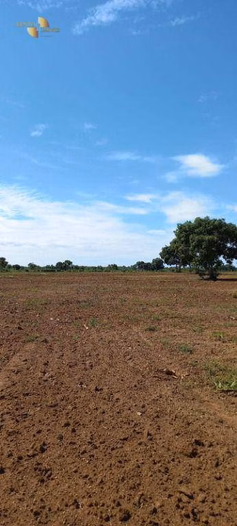 Fazenda de 2.266 ha em Jangada, MT