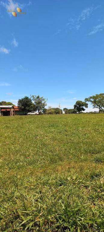 Fazenda de 2.266 ha em Jangada, MT