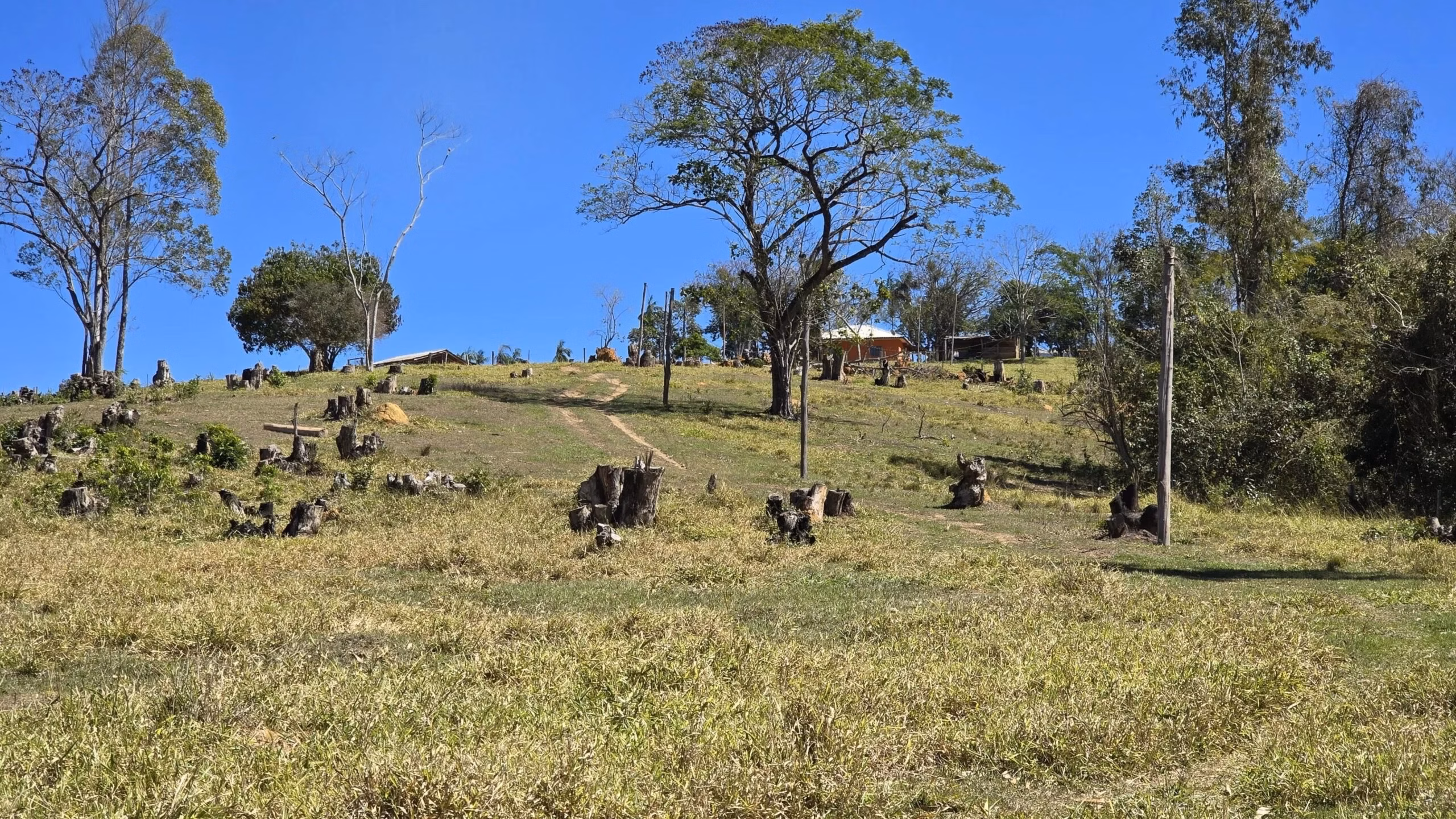 Small farm of 67 acres in Japira, PR, Brazil
