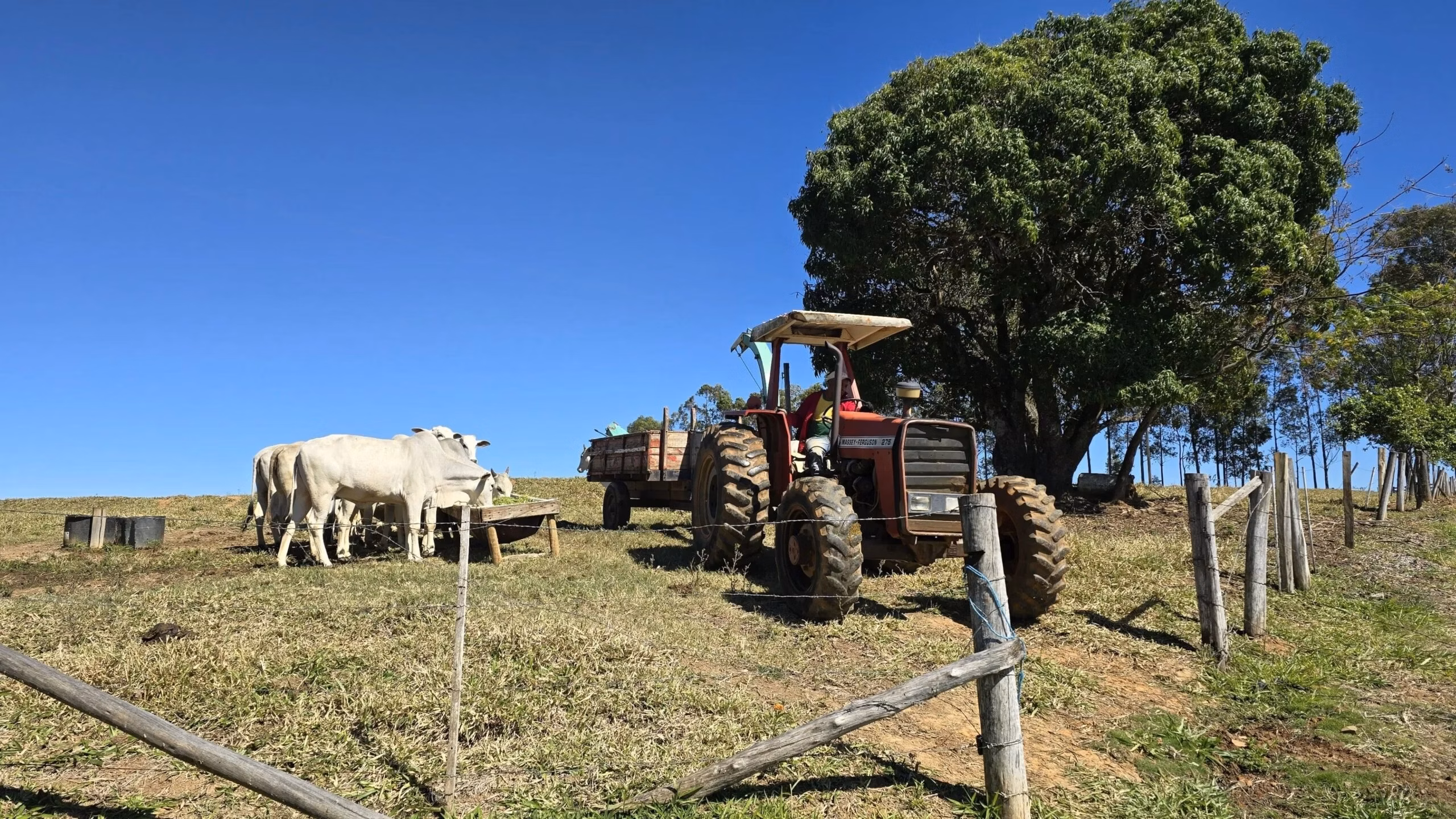 Small farm of 67 acres in Japira, PR, Brazil