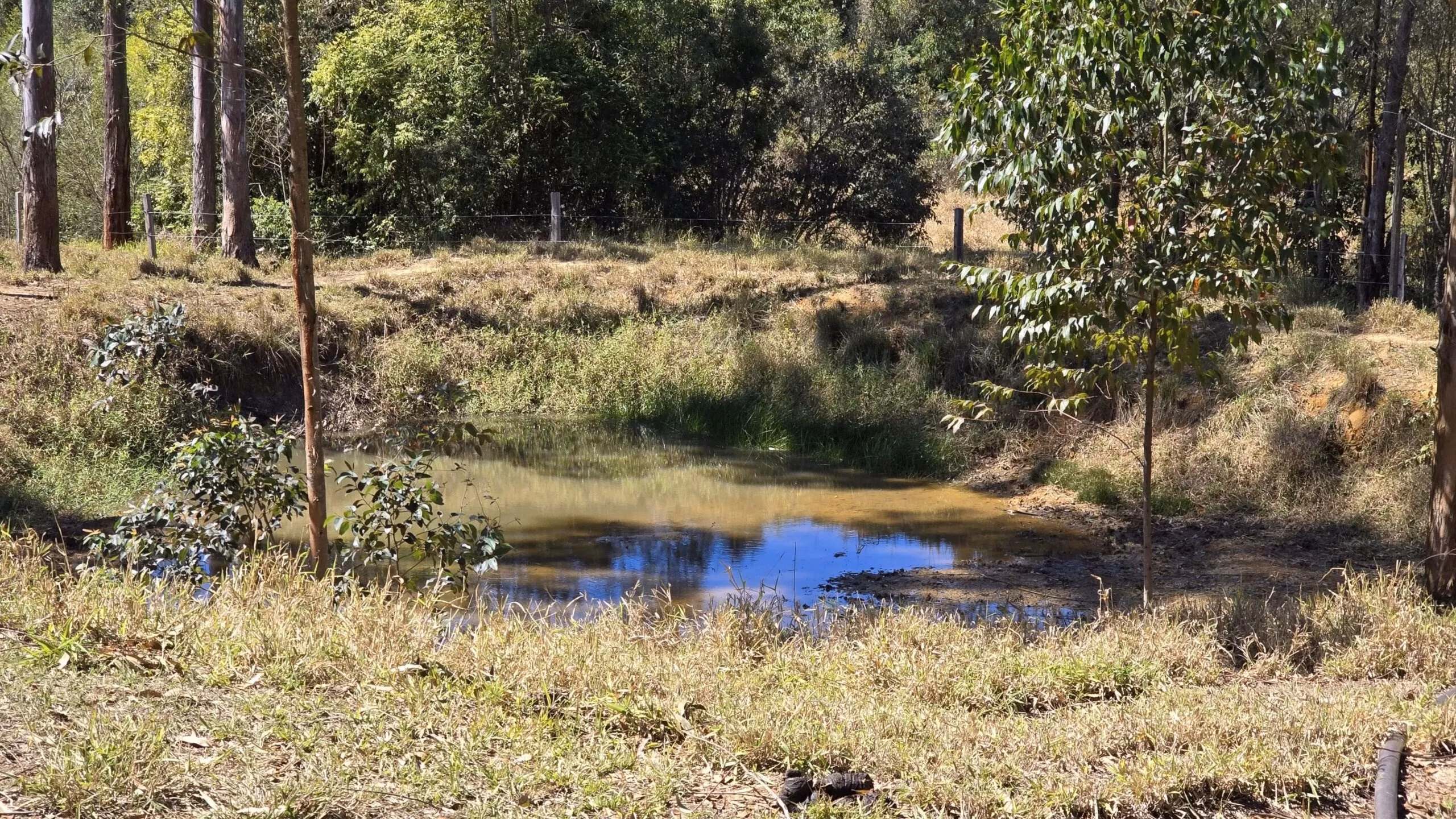 Small farm of 67 acres in Japira, PR, Brazil