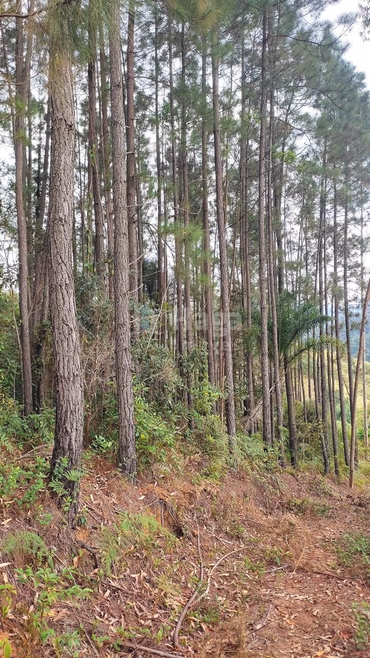 Country home of 16 acres in São João Batista, SC, Brazil