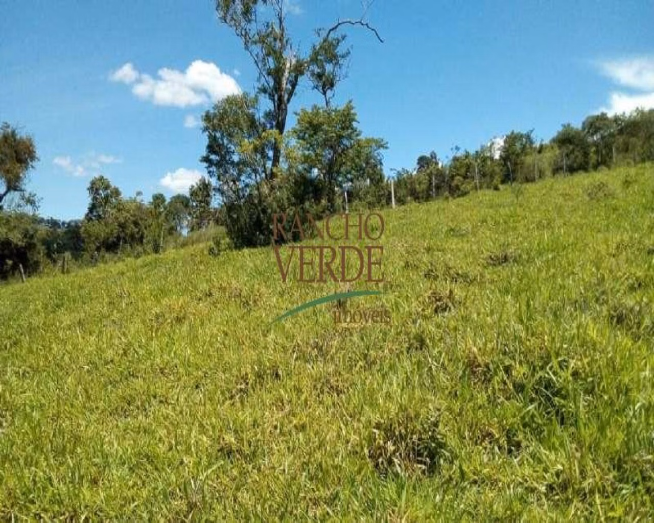 Fazenda de 153 ha em São Tomé das Letras, MG