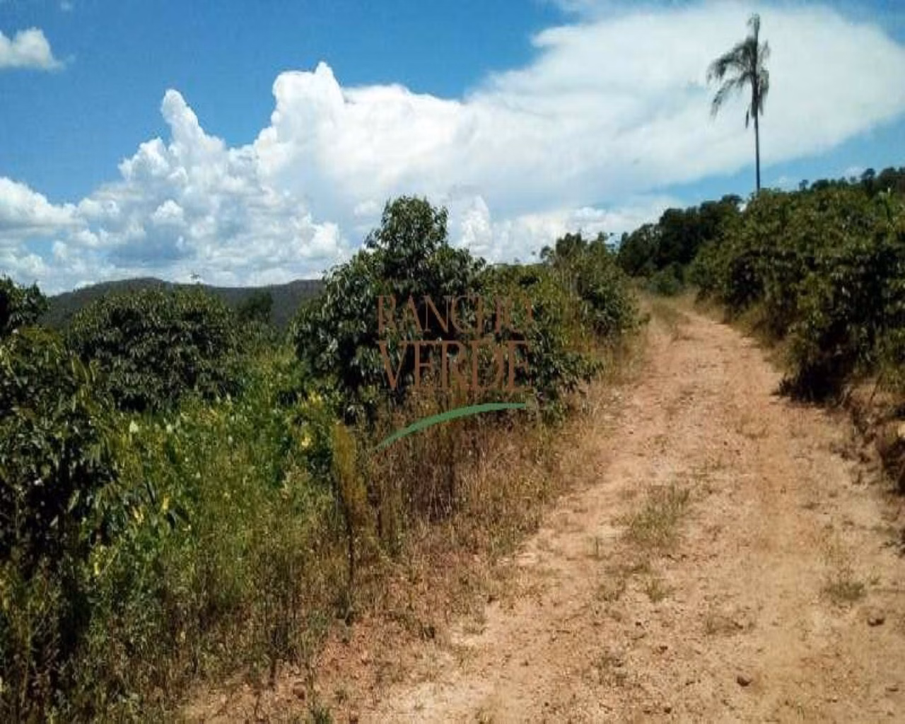 Fazenda de 153 ha em São Tomé das Letras, MG
