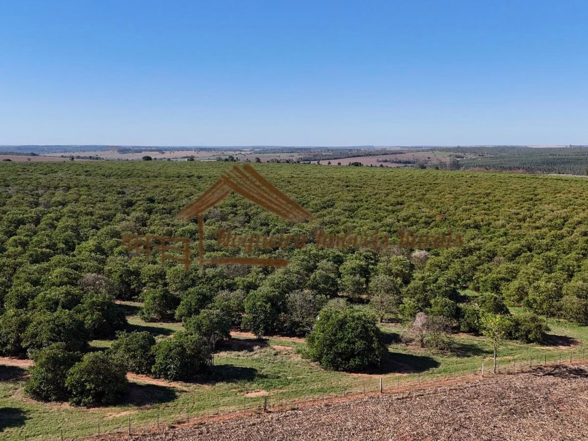 Fazenda à venda de 79 ha em Avaré, SP