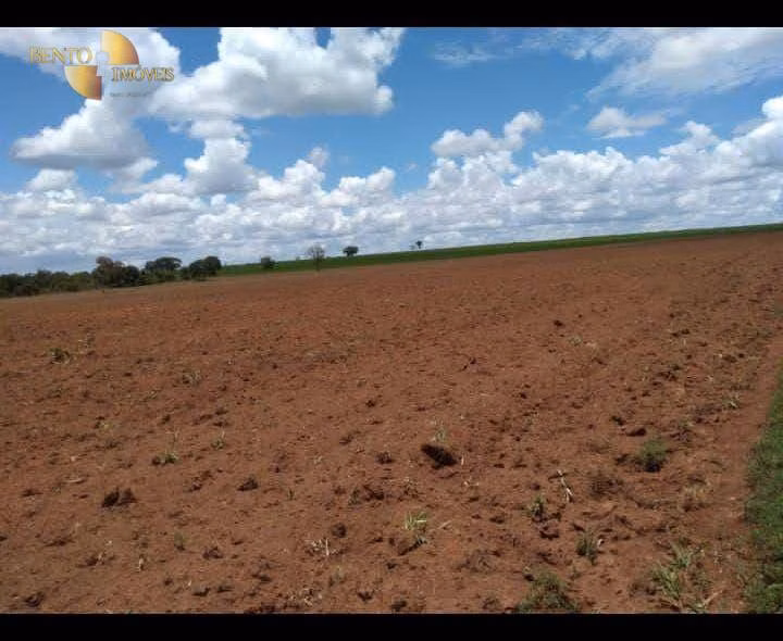 Fazenda de 2.711 ha em Água Boa, MT