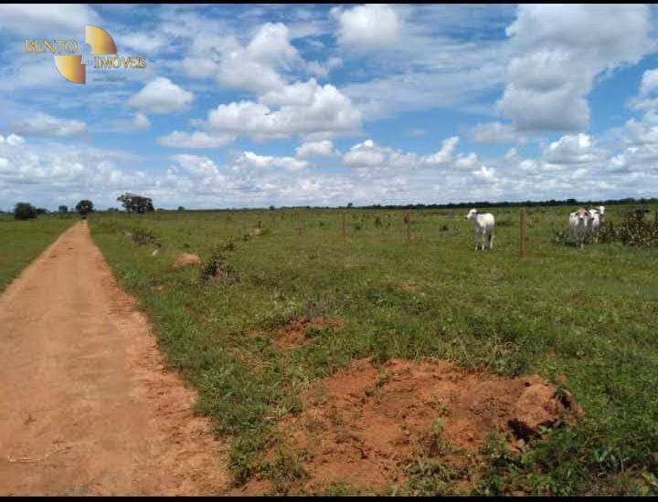 Fazenda de 2.711 ha em Água Boa, MT