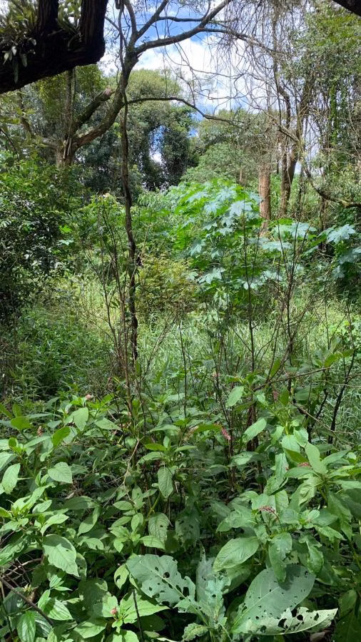 Plot of 6 acres in Mairinque, SP, Brazil