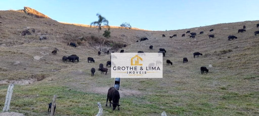 Farm of 299 acres in Cunha, SP, Brazil