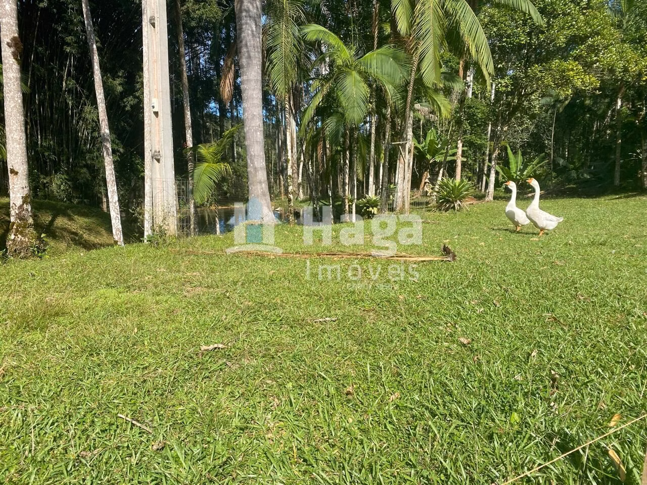 Country home of 32 acres in Nova Trento, SC, Brazil