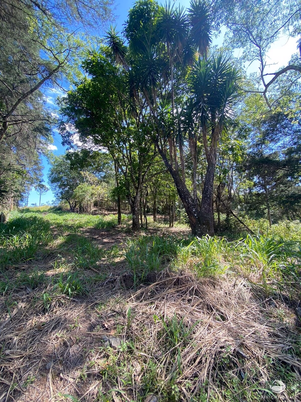 Sítio de 7 ha em Igaratá, SP
