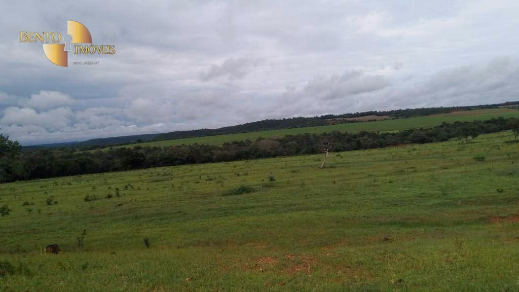 Fazenda de 1.700 ha em Santa Rita do Trivelato, MT