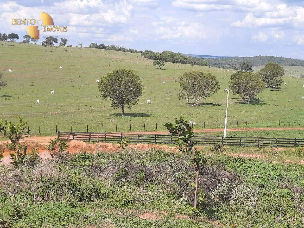 Fazenda de 1.700 ha em Santa Rita do Trivelato, MT